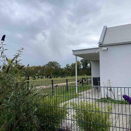 Wohnung Mit Garten Naehe Legoland Leipheim Ngoại thất bức ảnh